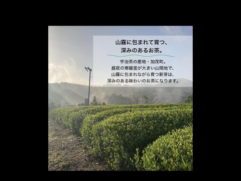 ＊2月のお茶セット＊国産ブレンドティー5種類飲み比べセット　和紅茶、ジンジャーほうじ茶、小豆玄米茶　各10個入り　かぶせ茶柚子、黒文字ほうじ茶　各5個入り　(計40個入り)