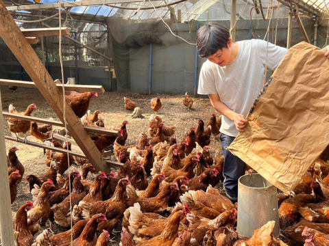 リピート率7割の弾力びっくり！平飼い卵！（6パック:60個）