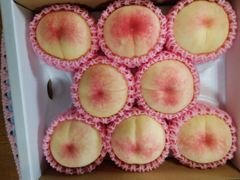 2025年先行予約【ご家庭用】【朝どれ】8玉入り詰合せ　くだもの王国おかやまよりお届け(1品種〜最大3品種)