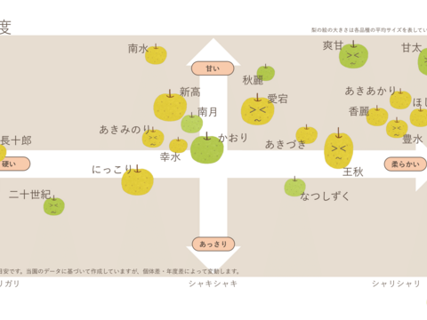 滴る果汁🍹　千葉県産【豊水】5㎏　お手頃サイズ『16～18玉入』市川のなし・秀品
