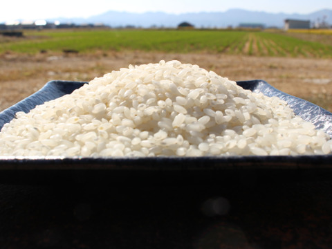 【数量限定】低アミロースでもっちもち*令和６年産特別栽培米さとのつき　白米５kg