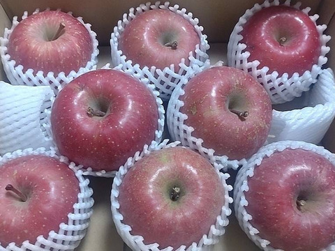 【販売中！人気商品】青森県産りんご「サンふじ」家庭用 キズ有 約3kg 【美味・光センサー選果済】