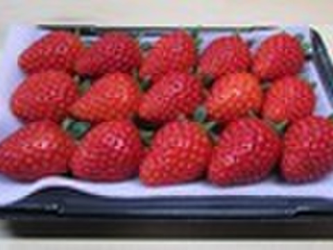 長瀞のあまりん☆サイズお任せ　　　約220～240g×２パック