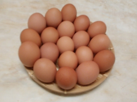 放し飼いのロイヤル健康たまご(特定飼育卵)
