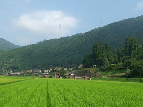 農薬不使用【白米4.5kg】京都・美山産