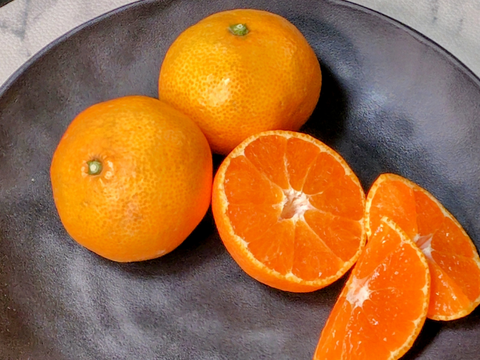酸味と甘味のバランスの良い旬のちえみかん🍊（田口早生）10㌔