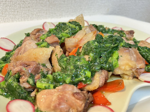 【もうすぐ収穫】丸ごと食べる！初穫れモロヘイヤ（100g×8袋）