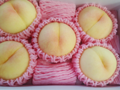 【2025年先行予約】　
　清水白桃/白鳳  【ご家庭用】【朝どれ】【樹熟🍑】2㎏化粧箱でお届け！