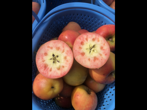 ムーンルージュ  ３キロ箱