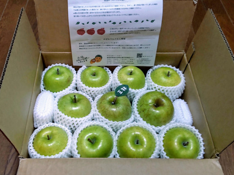 🍏芳醇な香り【王林】🍏１０～１２玉 約３キロ  （家庭用）商品ID118229