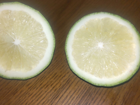 防腐剤、ワックス不使用　皮ごと使用  広島県産綺麗な種無しレモン 璃の香 　   ２ｋｇ(約14個入）