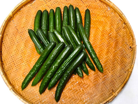 朝採り‼こだわり‼埼玉県産春きゅうり‼　(約2㎏)
