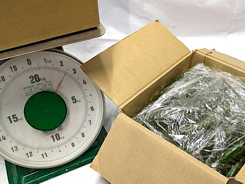 朝採り‼こだわり‼埼玉県産春きゅうり‼訳ありお徳用(約2.5㎏)