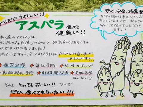【採れたて直送】森のアスパラ １㎏100本程度（ＳⅯサイズ）