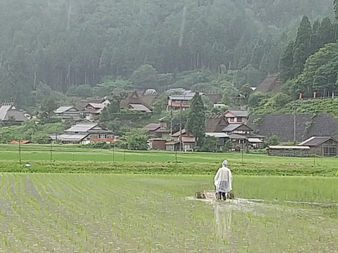 農薬不使用【白米4.5kg】京都・美山産