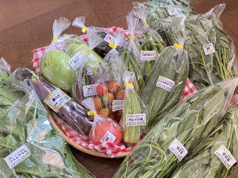 【自然栽培🍀100サイズ】朝採り新鮮！お野菜大好き家族のための旬菜セットL