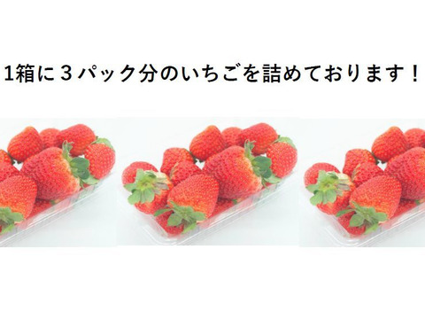 【訳あり】ボリュームたっぷり！完熟イチゴ 790ｇ×6箱