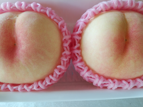 2025年先行予約　【贈答用】　【夏ギフト】【朝どれ】【樹熟🍑】くだもの王国おかやま よりお届け！
清水白桃/おかやま夢白桃/　なつごころ/なつおとめ/末木白桃/白麗