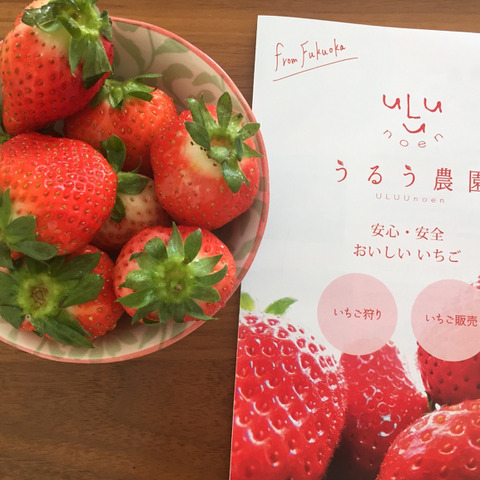 かおりの サイズ色々270g 4パック 福岡県のレビュー一覧 食べチョク 農家 漁師の産直ネット通販 旬の食材を生産者直送 かおりの サイズ色々270g 4パック 福岡県のレビュー一覧 食べチョク 農家 漁師の産直ネット通販 旬の食材を生産者直送