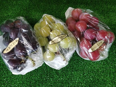 🟥訳アリご家庭用🟥🌿2024第二弾②３種🍇ぶどう詰め合わせ🌿
シャインマスカット・クイーンニーナ・巨峰/ 各種１房入♦️様々訳アリ不揃い房♦️