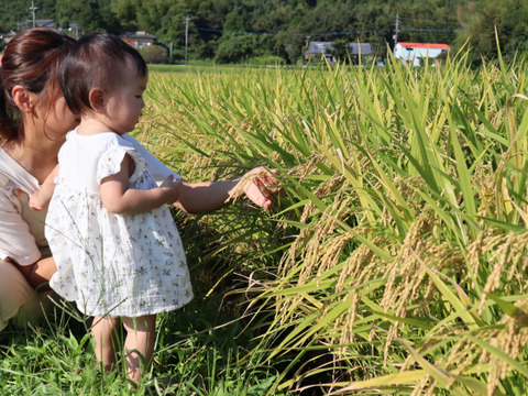 《R7新米予約》あきほなみ 無洗米5キロ