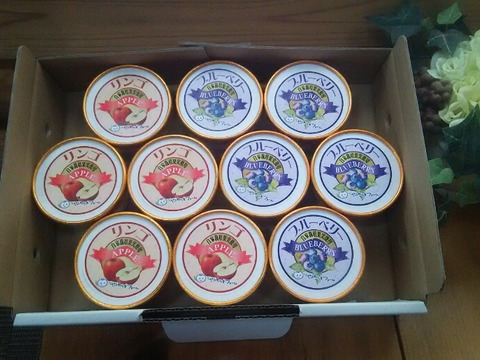 果汁たっぷりアイスクリーム10個セット〔ブルーベリー５個りんご５個入〕