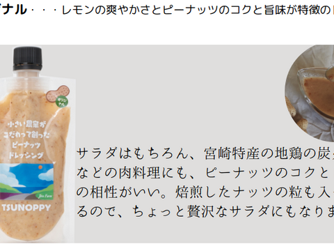 【夏の贈り物ギフト】濃厚なコクのピーナッツドレッシング3種類セット