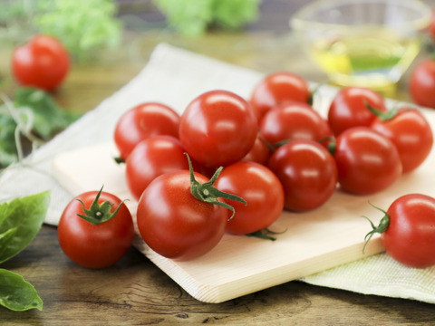 夏の霧のトマト　200g×4パック