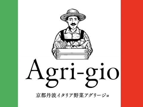 【京都丹波から直送】苦味が少なくて驚くほど食べやすい！『ケール』（カリーノケール）500ｇ