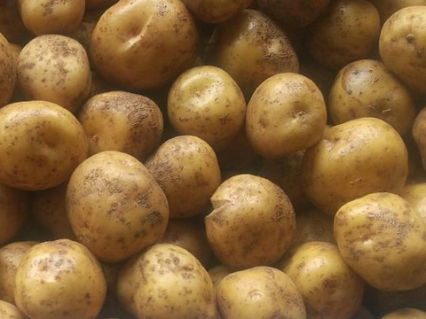 丹波産　自然栽培黒枝豆（2kg）500g×4袋　＋　ジャガイモ4.6kg（キタアカリ）　※簡易包装でのお届け