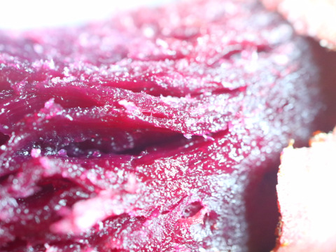 ふくむらさきの石焼き芋　冷凍でお届け 1kg  お試し