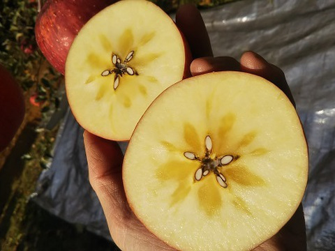 【数量限定】蜜入りサンふじ3k×2