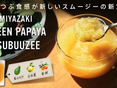 ＼宮崎青パパイヤ酵素スムージー／ビタミンシー 2本セット