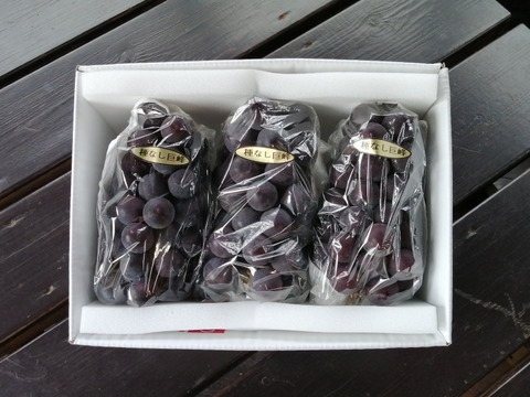 ✨🍇🌿　今が旬　露地栽培の巨峰🌿🍇✨
　　　【巨峰３房　/　計1.7kg位入り】