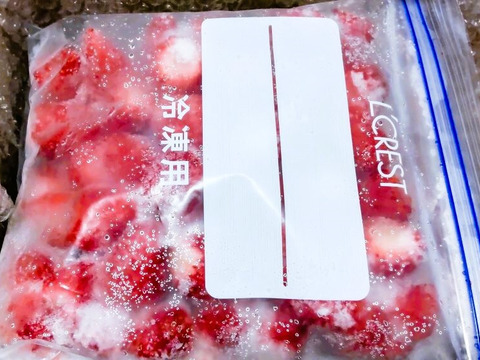 【完熟冷凍いちご】品種：おいCベリー (3.6kg)