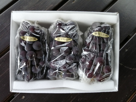 ✨🍇🌿　今が旬　露地栽培の巨峰🌿🍇✨
　　　【巨峰３房　/　計1.7kg位入り】