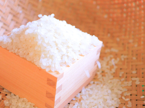 令和7年新米予約 極はえぬき 10kg×1袋：山形県産のお米｜食べチョク 