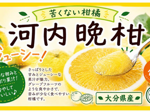 苦くない柑橘　河内晩柑（かわちばんかん）