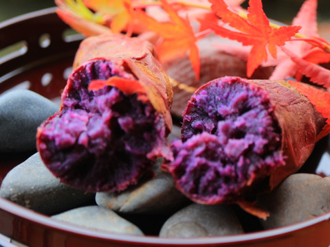 ふくむらさきの石焼き芋　冷凍でお届け 1kg  お試し