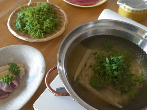 【入手困難】雌花　マルホ農園花山椒🌿50g ＋木の芽付き