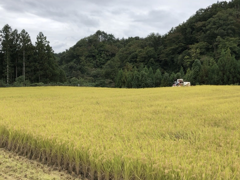【新米令和7年】【東北関東限定発送】本場宮城県産！ひとめぼれ 30kg 家族で生産 農家のお米 低農薬