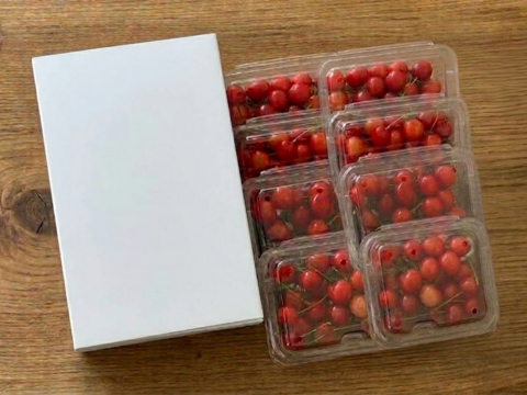 【予約】さくらんぼ食べ比べセット1.6kg 7月初旬～中旬発送