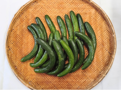 朝採り‼こだわり‼埼玉県産春きゅうり‼訳ありお徳用(約2.5㎏)