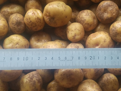 丹波産　自然栽培黒枝豆（1kg）+　自然栽培　ジャガイモ　1.5ｋg（キタアカリ）※ともに簡易包装でのお届け　＋　丹波大納言小豆　（250ｇ）