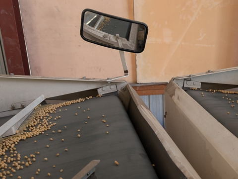 有機青大豆 大袖の舞 4kg  北海道十勝 “豆のまち”本別町 2025年産　オーガニック