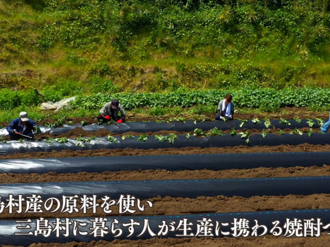 長期貯蔵古酒みしま村　1800ml　十八世中村勘三郎十三回忌追善公演「俊寛」記念　500本