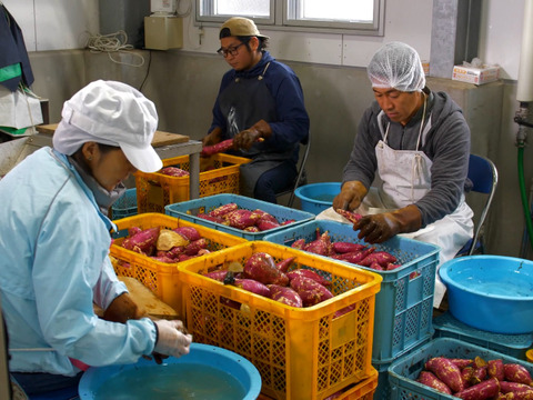 長期貯蔵古酒みしま村　1800ml　十八世中村勘三郎十三回忌追善公演「俊寛」記念　500本
