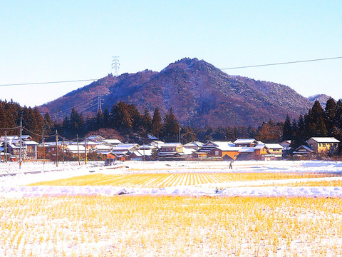 新潟県産の食べ比べセットで【こしひかり】と【恋の予感】と【ひとめぼれ】そして【縁結び】と【新之助】いう新潟県で栽培したお米で、9袋の合計2.8㎏で、12月20日～1月10日迄の注文に限る限定価格です