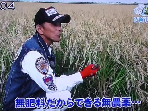 🌸肥料・農薬不使用30年間『中粒米』コシヒカリ白米1kg