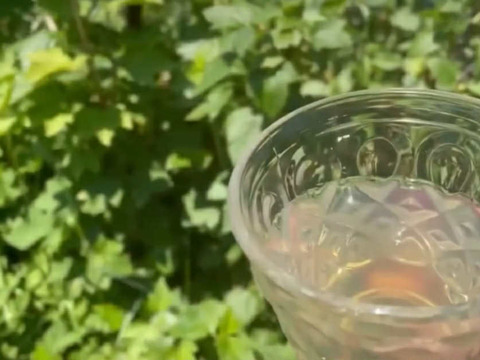 【福袋】ジャム3本＋ハーブティー（ブルーベリー葉のお茶）のお買得セット　※まとめ買い対応